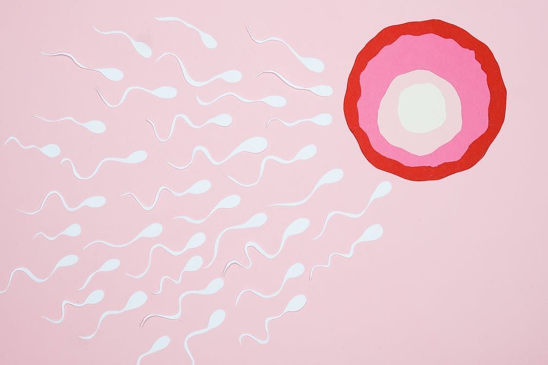 For women going through the transitional phase of perimenopause, it is vital to understand and identify the initial signs and common symptoms in order to navigate this period effectively. (Nadezhda Moryak/ Pexels)